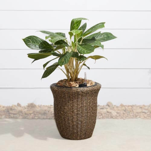 Artificial plant in woven pot