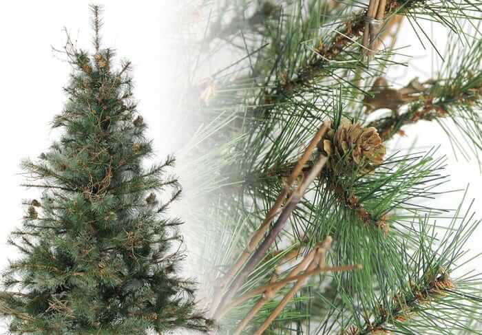 Mixed Country Pine