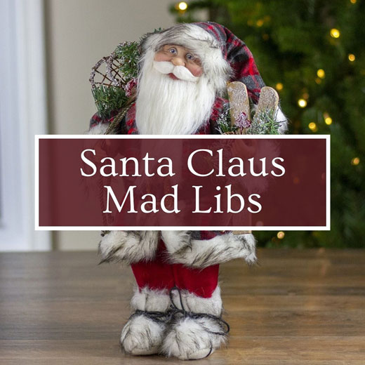 Santa Claus Mad Libs